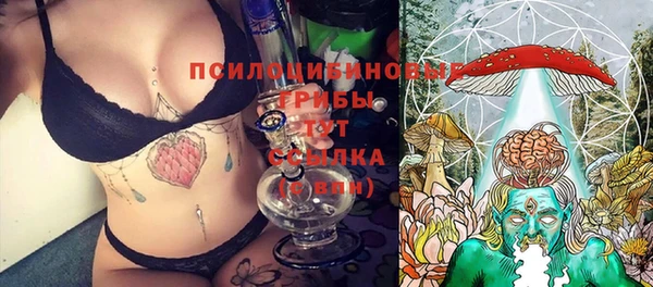 соль ск Балахна