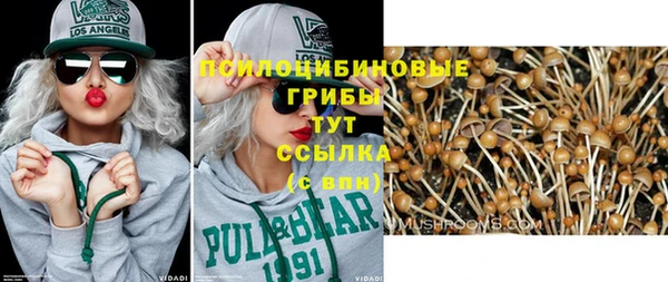 трава Баксан