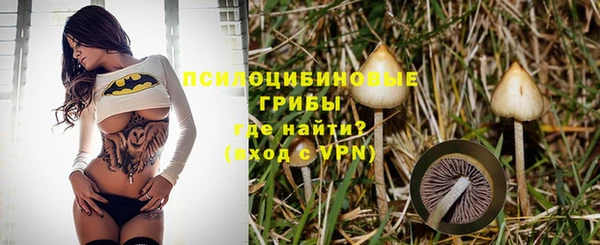 гидропоника Балабаново