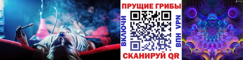купить наркоту Верхнеуральск Псилоцибиновые грибы Psilocybine cubensis